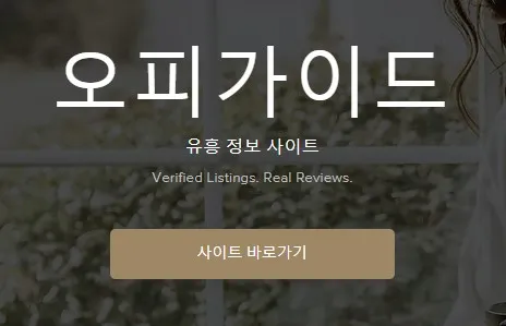 오피가이드 1