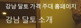 달리는토끼 1